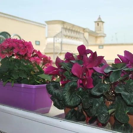 Palazzo Sottile Meninni - Classic Experience